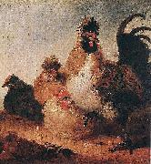 Aelbert Cuyp Rooster and Hens. Spain oil painting artist